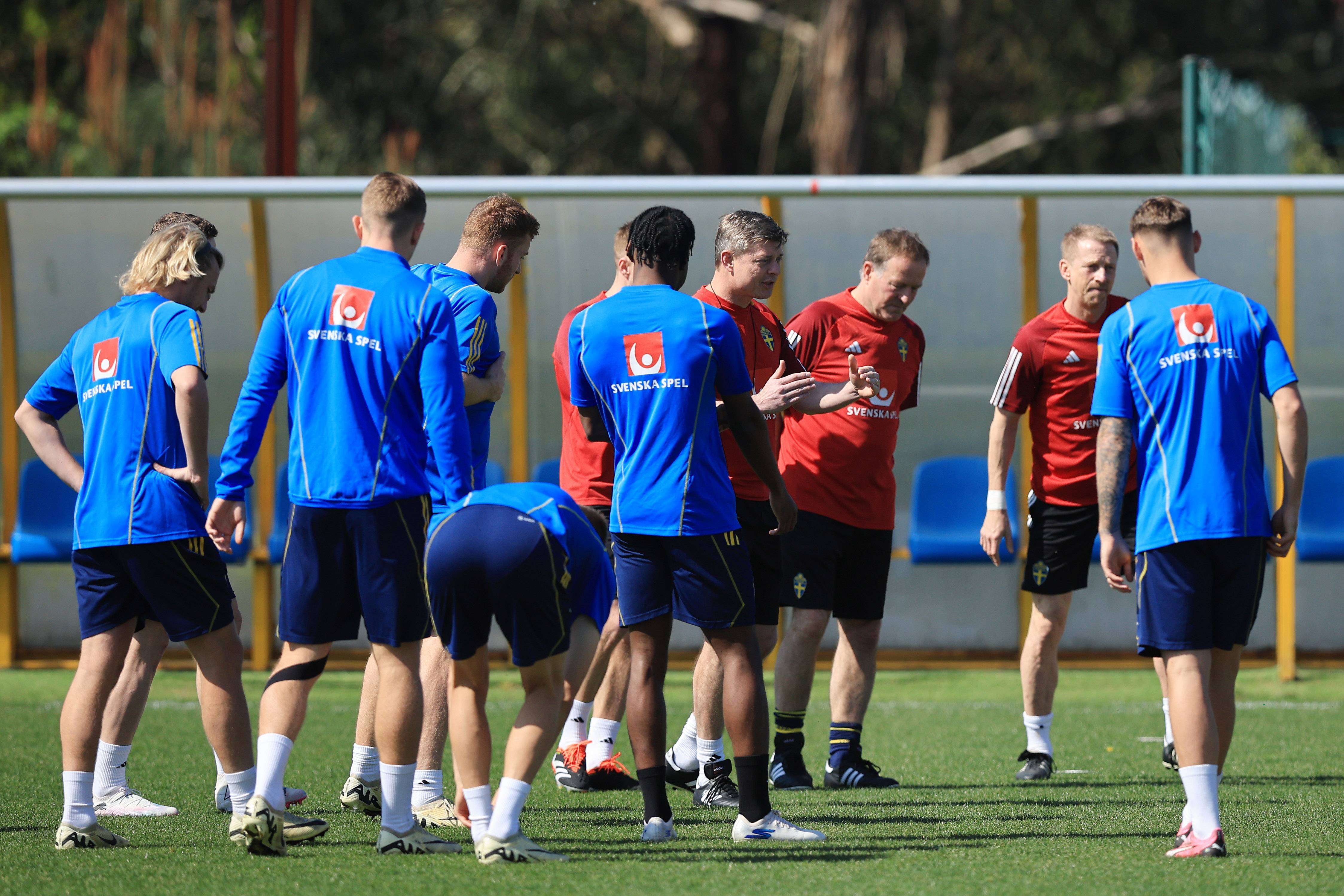 开云体育在线-葡萄牙队完胜瑞典队，王皓刷新纪录